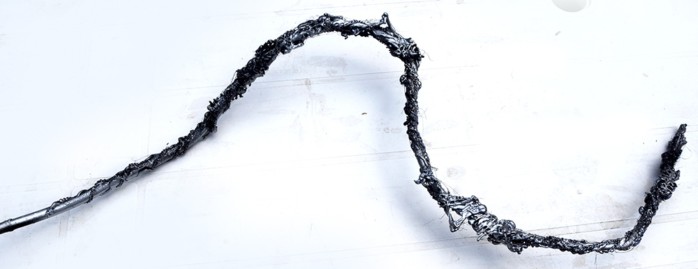 Fossile - 7 par Zandrine C